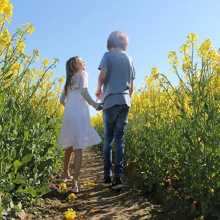 Kuestenwohnung In Διαμέρισμα Zierow