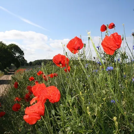Kuestenwohnung In * Zierow